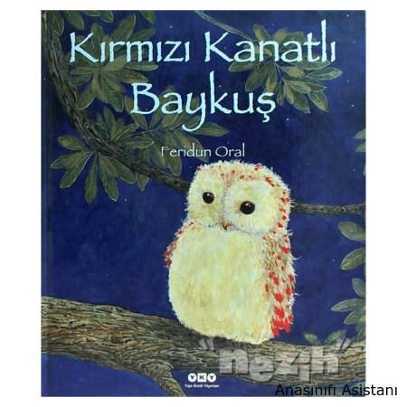 Kırmızı Kanatlı Baykuş