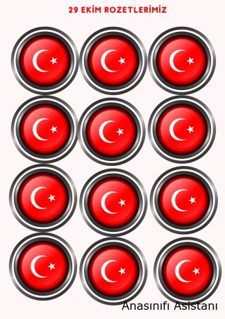29 Ekim Cumhuriyet Rozetlerimiz