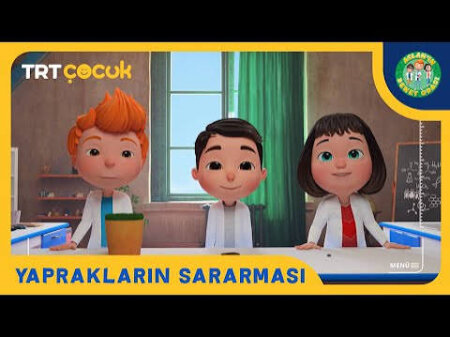 Aslan’ın Deney Odası – Yapraklar Sonbaharda Neden Sararır?
